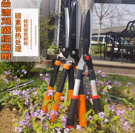 QQ截图20240417133106.jpg